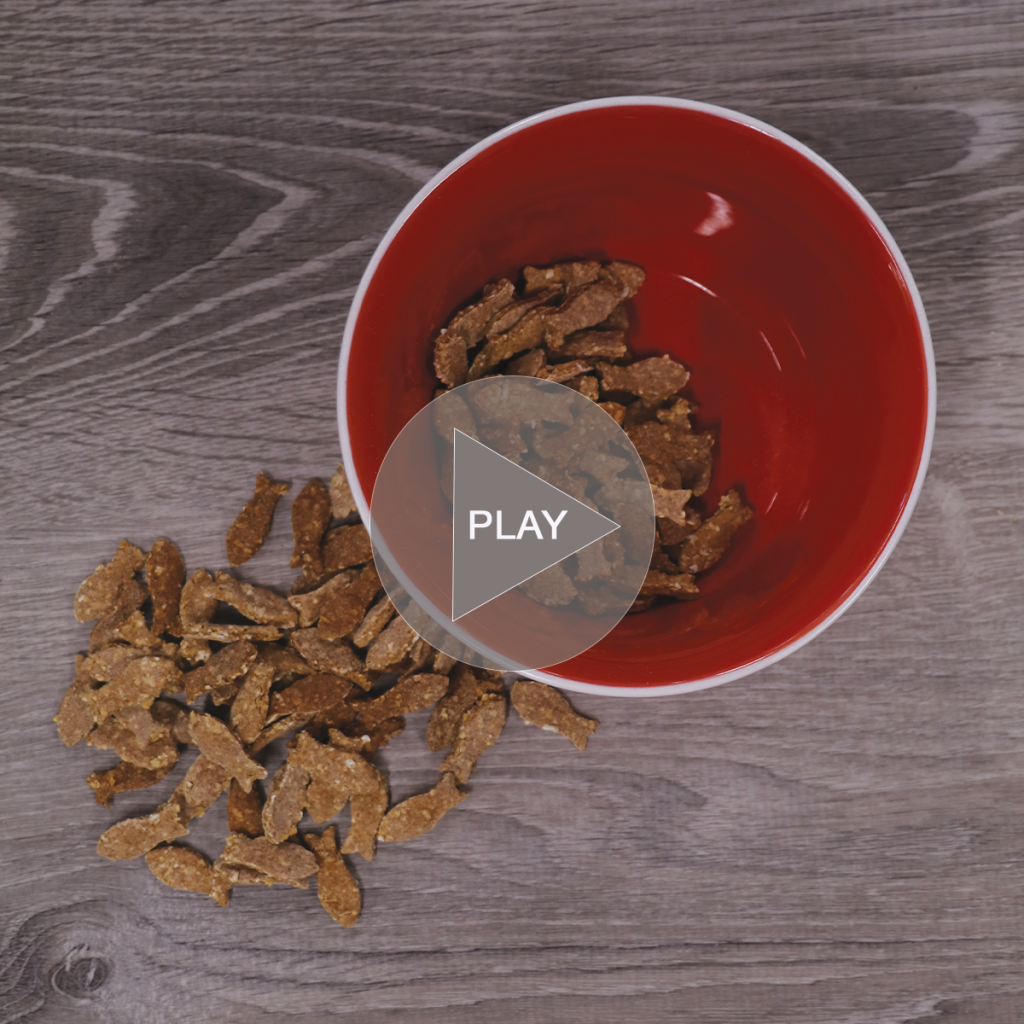 cat treats video