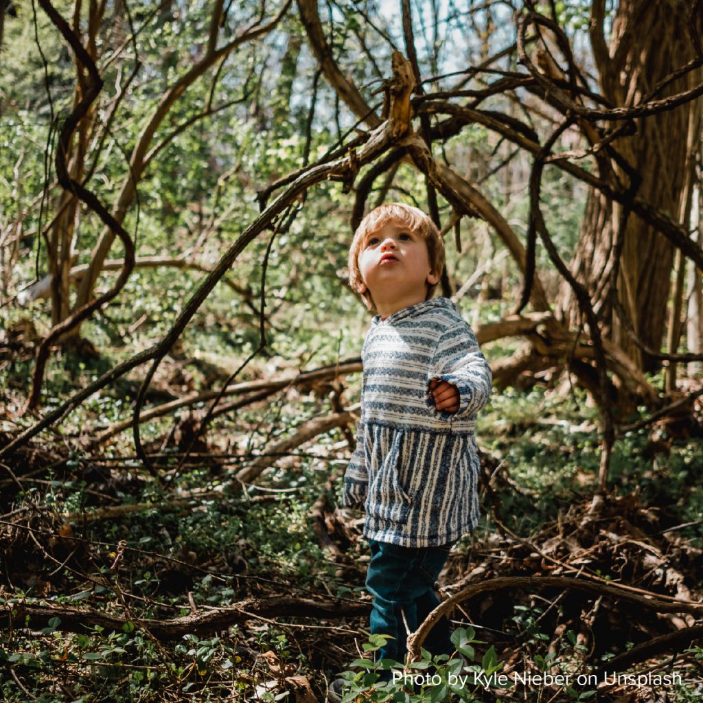 Cultivating Little Explorers